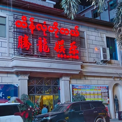 腾龙游戏公司